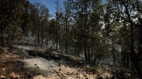 Declaran Emergencia Ecol Gica Por Incendios En La Sierra De Santa