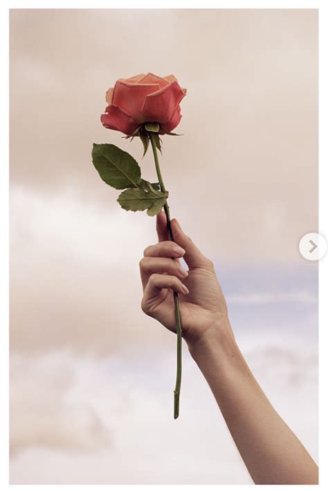 Pin By Mauricio Calderon On Fotografia Hand Photography Hands Holding Flowers Hand Flowers