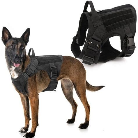 Arn S T Ctico Para Perro Con Hebillas Met Licas Negro Aventureros