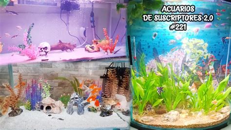 ACUARIOS DE SUSCRIPTORES 2 0 221 PEZ ESCALAR PEZ GOLDFISH PEZ