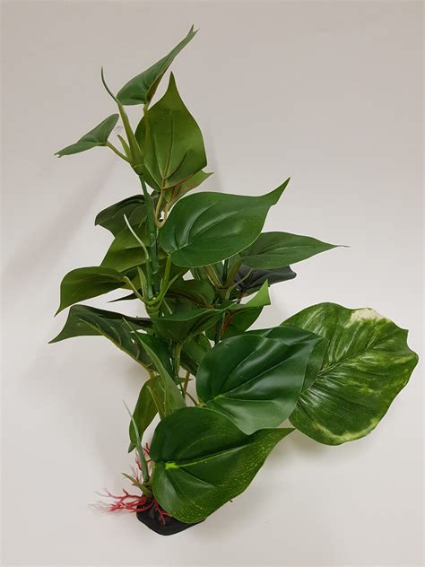 Leafy Plant - Large – Family Pet Supplies