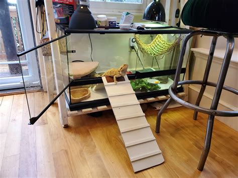 diy lizard ramp