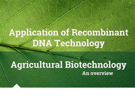 Agricultural biotechnology, overview | PPT