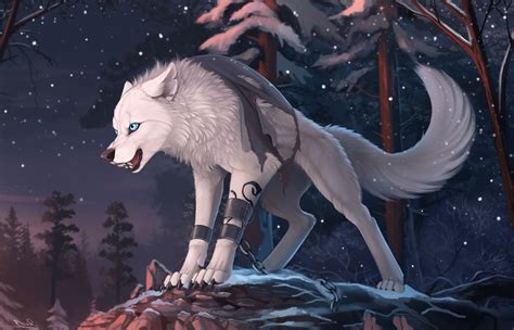 Furry Wolf Wallpaper 75 Images