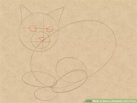 How To Draw A Realistic Cats Face 11 Steps With Pictures Cat Face