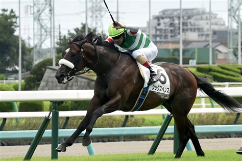 【2歳新馬】シックスペンスが断然人気に応えてデビュー勝ち ルメール「馬にとってもいい勉強になった」 競馬ニュース・特集なら東スポ競馬