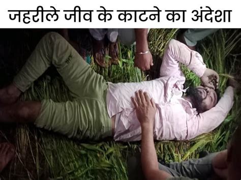 Farmer Died In Khanda Village Of Sonepat Dead Body Found In The Field