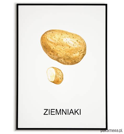 Plakat GRAFIKA ZIEMNIAKI warzywa obraz ZIOŁA Pakamera pl