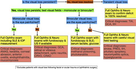 Managing Patients With Acute Visual Loss Annals Of Emergency Medicine