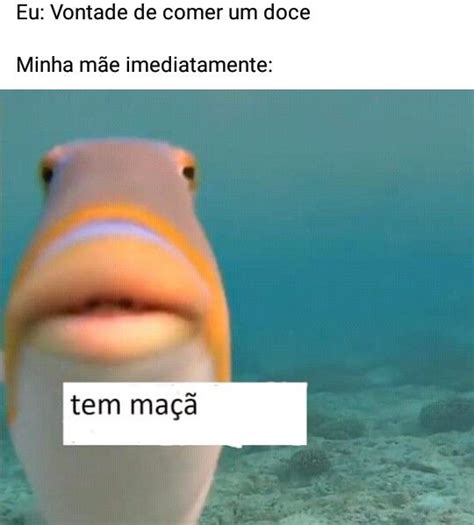 Raiva Memes Engra Ados Engra Ado Memes