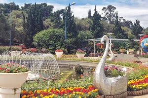 Da Lat Flower Gardens