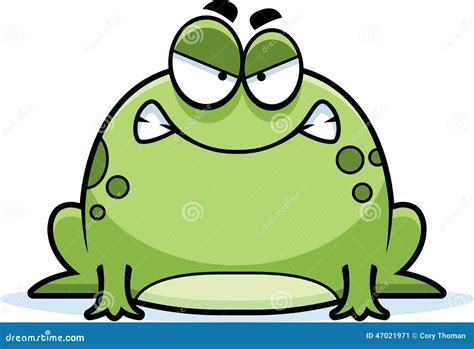 Angry Little Frog Stock Vector Illustration Of Toad 47021971