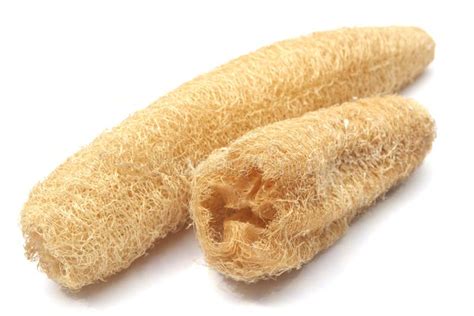 Spugna Naturale Di Luffa Immagine Stock Immagine Di Strutturato