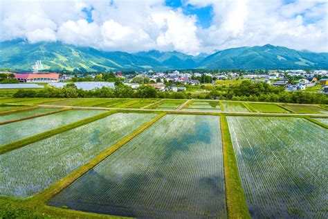 福島県会津市の美しい田んぼを超美麗4k動画で！黄金色に染まる稲穂が夕陽に染まる風景は癒しを与えてくれる。 自然｜クールジャパンビデオ｜日本の観光・旅行・グルメ・面白情報をまとめた動画