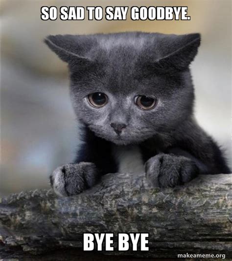 Sad Goodbye Cat Meme