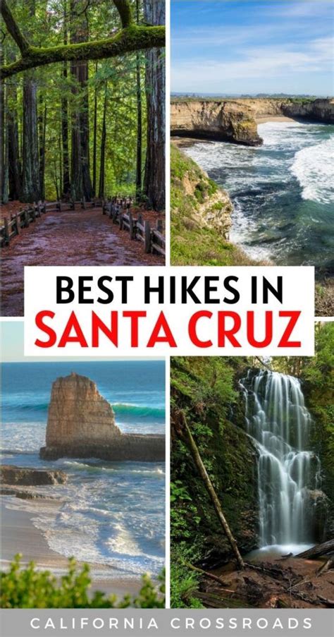 13+ Amazing Santa Cruz Hikes to Tackle - California Crossroads | California travel road trips ...