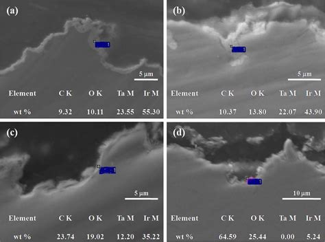 Surface Morphologies And Elemental Compositions For The Selected Areas