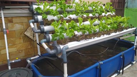 Diy How To Make Simple Ras System Tilapia Ponds Aquaponic System