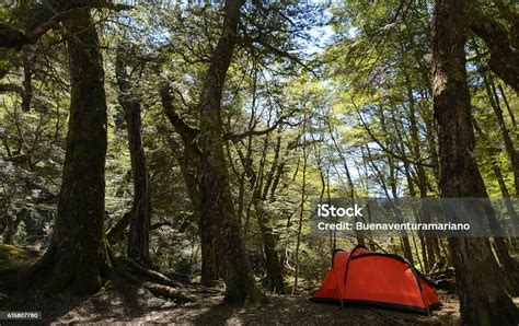 Camping In Patagonia Stock Photo - Download Image Now - Adventure ...