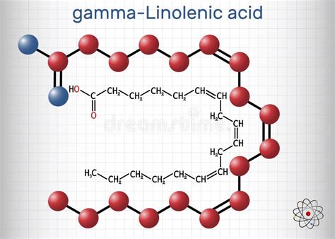 Omega Polyunsaturated Fatty Acids Linoleic Acid La Gamma Linolenic