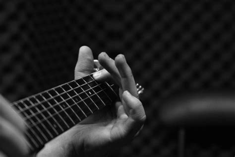 Guitar Fretboard Free Stock Photo Freeimages