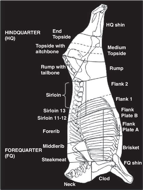 Beef Carcass Parts