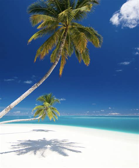 Fast facts about turks and caicos islands – Artofit