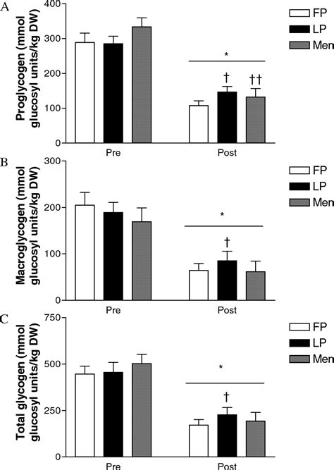 Pdf Menstrual Cycle Phase And Sex Influence Muscle Glycogen