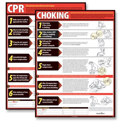 Cpr And Choking Posters Set