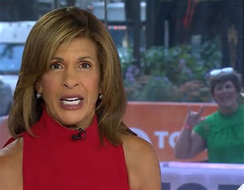 Today Show Fans Spot Hilarious Detail Behind Hoda Kotb During Serious