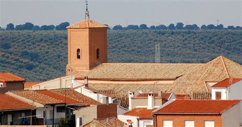 Visita Espinoso Del Rey Tclm