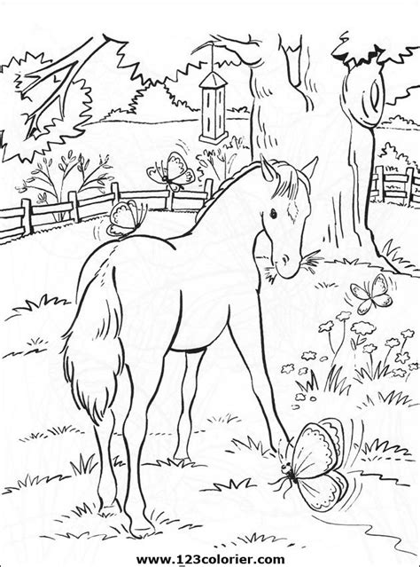 Cheval Coloriage Cheval Imprimer Coloriage Cheval Cheval A Imprimer