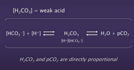 Acid Base Buffer Systems Flashcards Quizlet