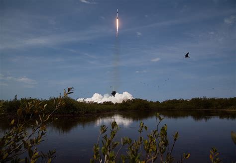 Here Are the Glorious HD Photos of the SpaceX Crew Dragon Launch ...