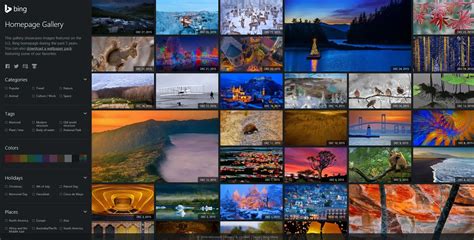 Bing Homepage Quiz Gallery 2022 Get Latest 2022 News Update