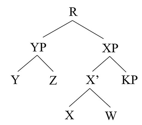 Binary Branching Tree Download Scientific Diagram