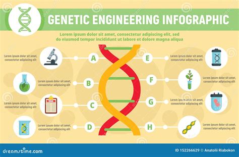 Genetic Engineering Infographic Flat Style Stock Vector Illustration