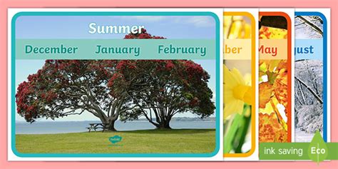 New Zealand Seasons And Months Poster