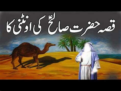 Hazrat Saleh Ki Oontni Ka Waqia Hazrat Saleh AS Aountni Camel Aur