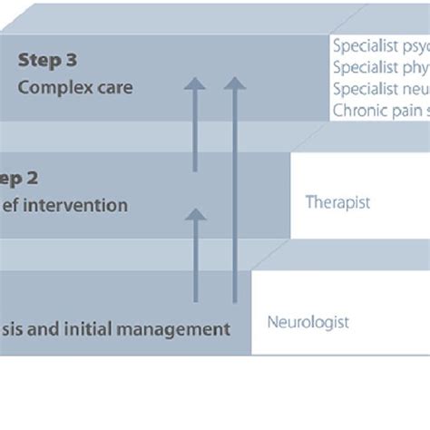 Proposed Model Of Stepped Care For Fnd Adapted From Carson And Stone