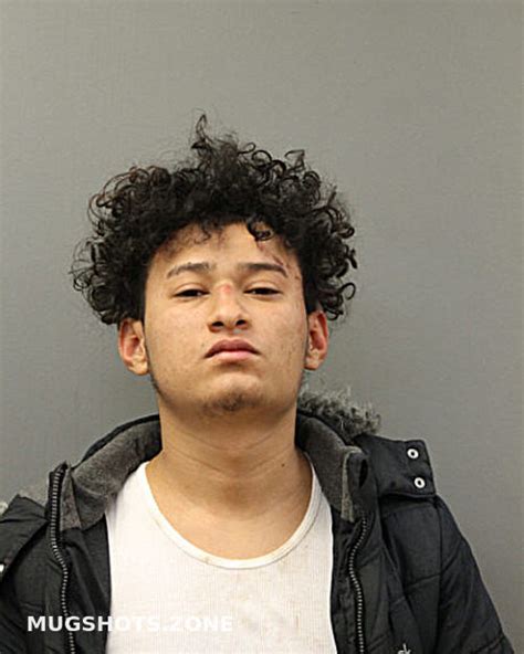 Yeison Veliz Chicago Mugshots Zone