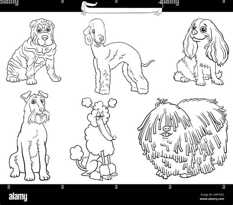 Bande Dessin E Chiens De Race Page De Livre De Coloriage Ensemble De