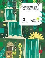 Solucionario Ciencias De La Naturaleza Primaria Sm Mas Savia Pdf