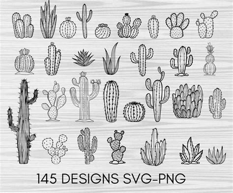 Cactus Cliparts Svg Png