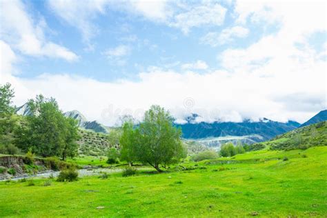 Green Hills Landscape With Mountains Stock Photo Image Of Summer