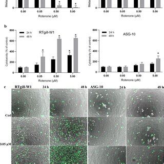 Effects of rotenone exposure on catalase activity. The cells were ...