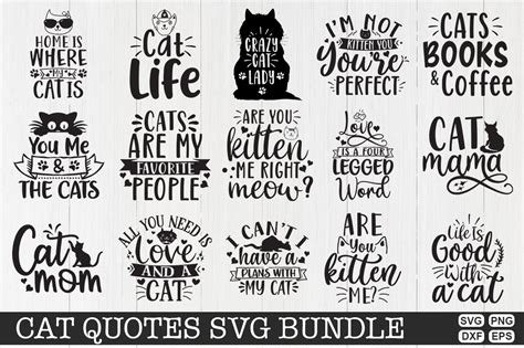 Cat Quotes Bundle Graphic By Craftdesignbulk · Creative Fabrica