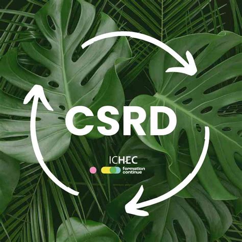 Csrd La Directive Europ Enne Sur Le Corporate Sustainability Reporting