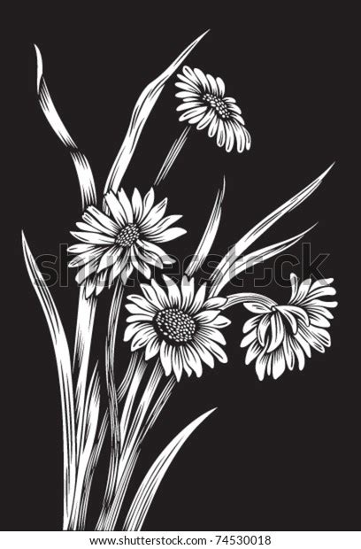 Black White Flowers Stock Vector Royalty Free 74530018 Shutterstock