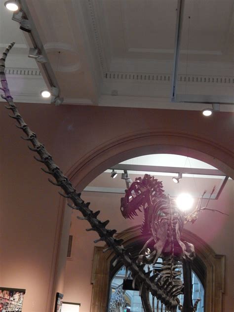 Dinosaur Skeleton 12 (own picture) | High art, Ceiling lights, Advanced higher art